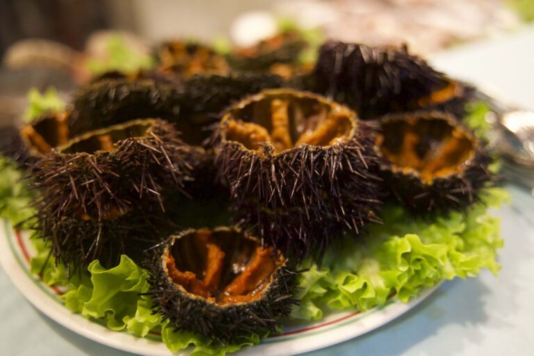 Seeigel auf Salat